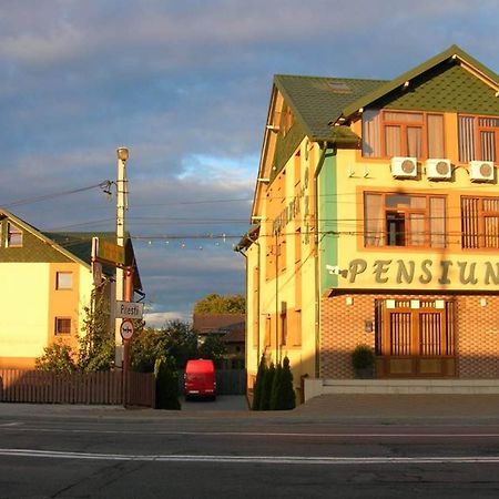 Pensiunea Cora Питешти Экстерьер фото